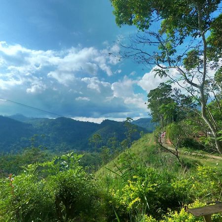 Mountain Vibe Ella Apartment Bagian luar foto