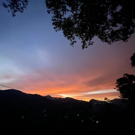Mountain Vibe Ella Apartment Bagian luar foto